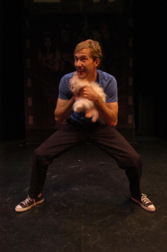 Dom Wrestling Kitty